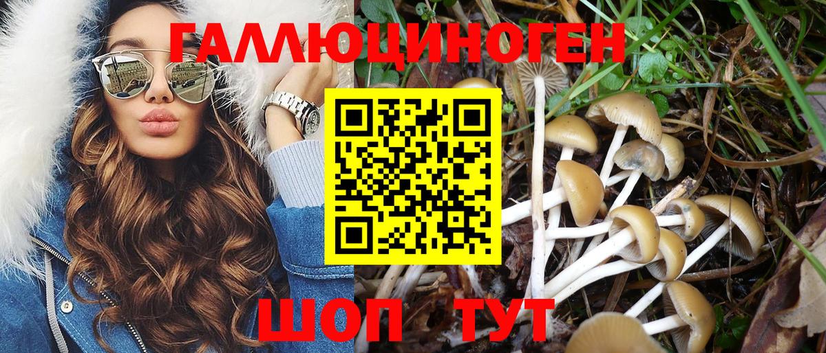 Псилоцибиновые грибы Cubensis Мичуринск