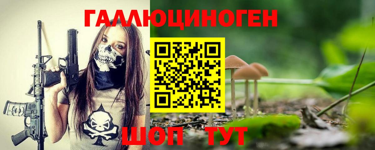 Мичуринск  Галлюциногенные грибы Magic Shrooms  Вход с VPN  Галлюциногенные грибы Psilocybine cubensis 